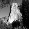 El Cap, Merced River. April 2004.