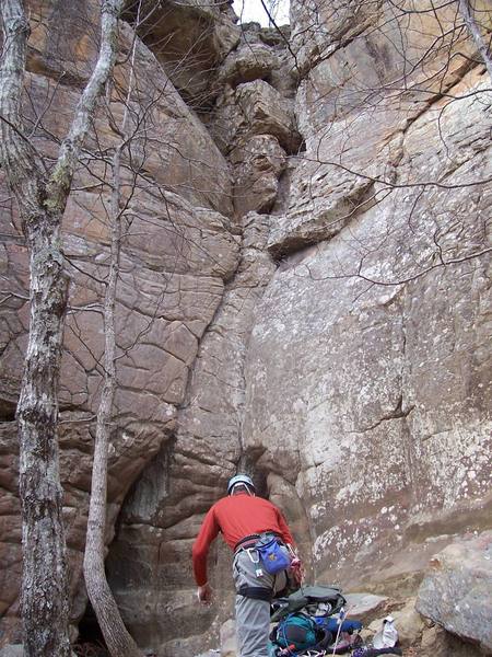 Steve below Smooth Operator and Bryes Corner.