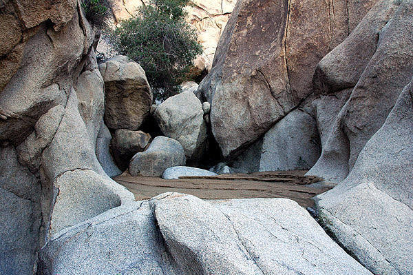 A canyon wash-Indian Cove.<br>
Photo by Blitzo.