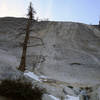 Looking up The Weeping Wall