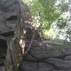 Negotiating the trees (crux) on Green Gremlin.