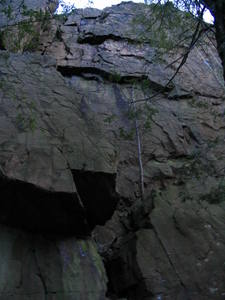 "Realm" goes up to the left of the small grey tree. In the upper right corner, you can see ropes dropped for "Millions of Dead Dogs"