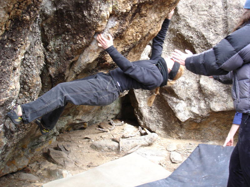 Heather Heynen at Irie Heights.