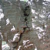 Chandler Park limestone.  This is Pepsi wall.