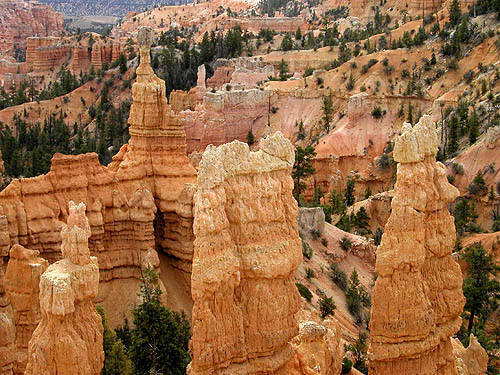 Bryce Canyon.<br>
Photo by Blitzo.
