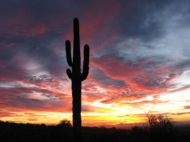 Caught this great sunset hiking out of the Supersitions, Thanksgiving, 2006.