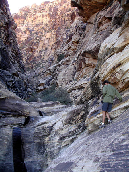 A fun day of scrambling in Red Rock!<br>
<br>
Upper Lost Creek Canyon<br>
<br>
We love to have the canyon all to ourselves!