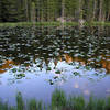 Pond-Rocky Mountain National Park.<br>
Photo by Blitzo.