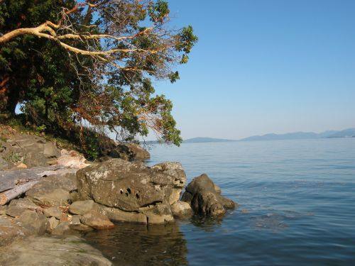 Vancouver Island Coast