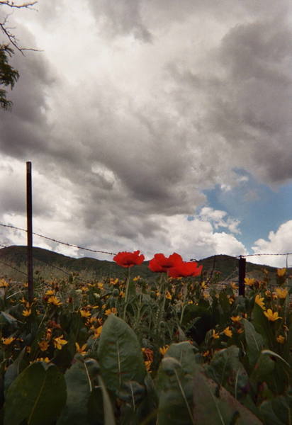 Toole, Ut. The best unexpected side trip i have ever taken.