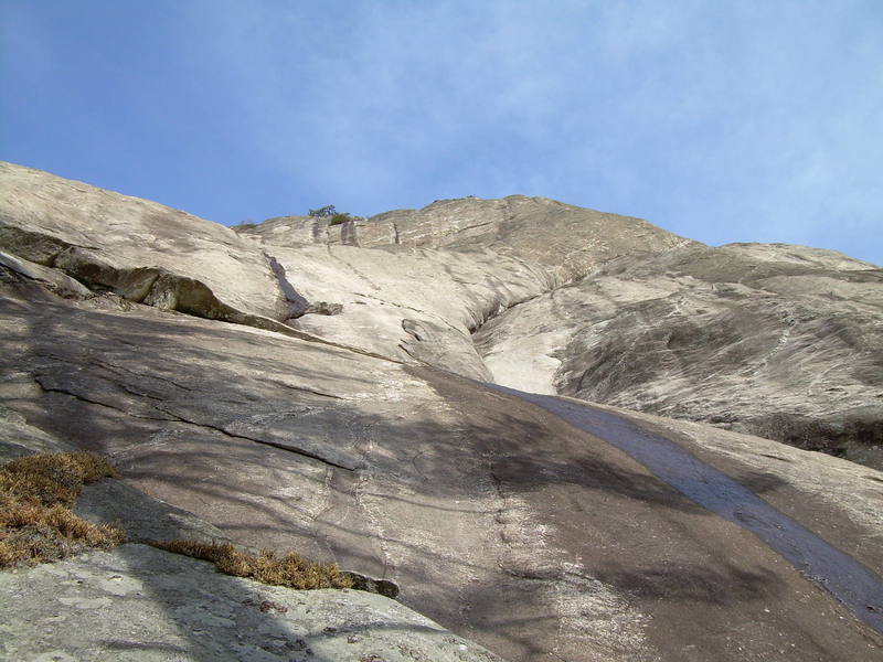 Looking up P2 of Groover on Laurel Knob. The route goes up and right from here following the crack shown above for the next two pitches. P4 involves a facey traverse across and up water grooves until the crack is regained for P5. P6 follows Forbidden Fruit up and diagonally right to the top...