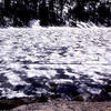 Lower Echo Lake CA-Spring thaw.<br>
Photo by Blitzo.