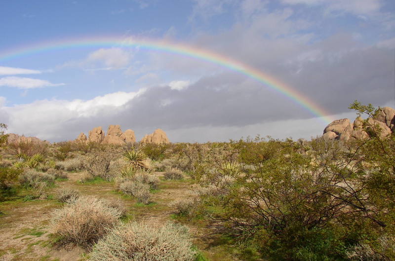 Rainbow in Indian Cove right after the rain.