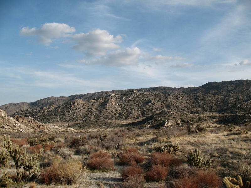 Culp Valley, Anza Borrego State Park.