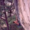 Tony coming going for the crux of 'Lost Monkey (5.11)' at Nanyang Wall of the Batu Caves area in K.L. Malaysia. Photo by Kenny Low, 2005.