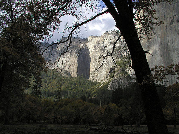 Ribbon Falls area from El Cap Meadow.<br>
Photo by Blitzo.