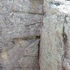 Left Corner of back wall of the Dungeon there are two cracks about a foot apart. This is whackbusher 5.6. The layback on the left side face was fun too and like a 5.5