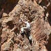 Billy G. just below the upper crux of "Drive-by Shooting", Las Conchas. Moving left at this point avoids the upper crux but going straight is fun!