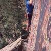 Tony Bubb geting started on the thin and gymanstic 'Thunderbolts From Hell (5.12)' on Eldo's West Ridge. Photo from Joseffa Meir, 2003.