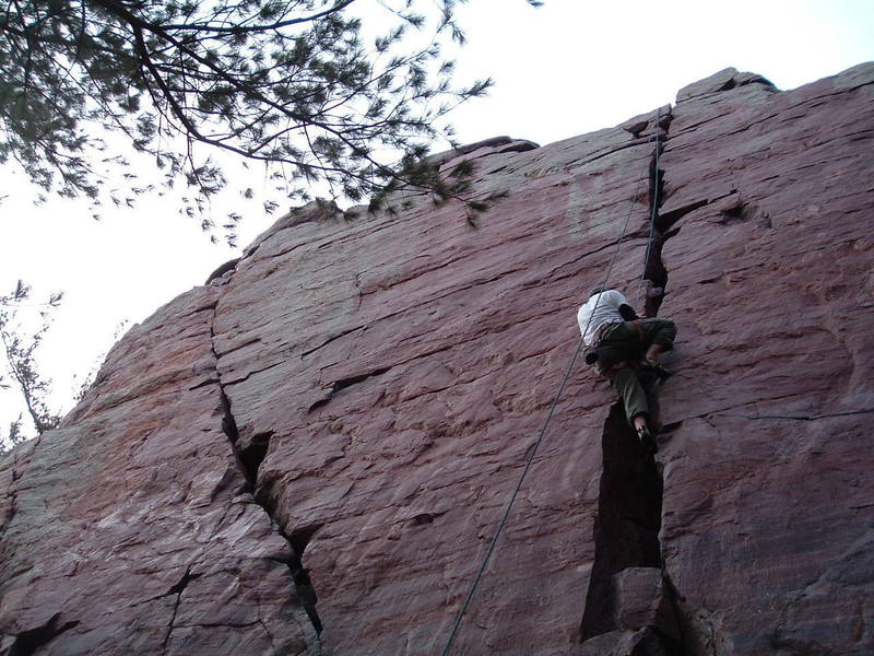 birch tree crack, devils lake