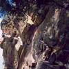 Tony Bubb just past the Run-outs and crux of Double Life (5.10-, R), on Shirt Tail Peak in Eldo. Photo by Joseffa Meir, 2003.