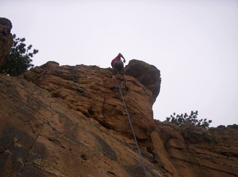 The bees are on the right side of the out-cropping rock on the top.