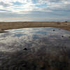 Tidal Pool-Central Coast.<br>
Photo by Blitzo.