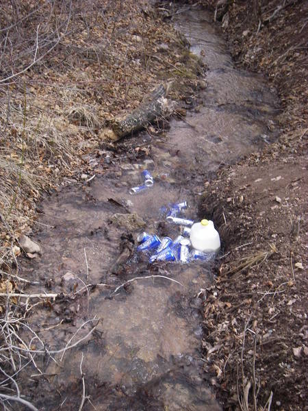 Dirtbags?  Using the creek as a cooler for Keystone and milk