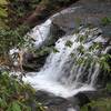 Lush green and waterfalls in winter (pisgah NF)