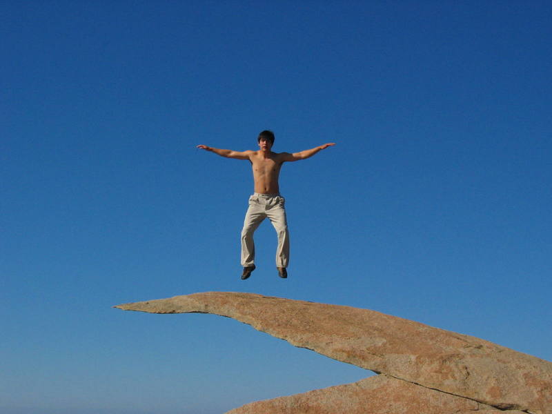 The Diving Board