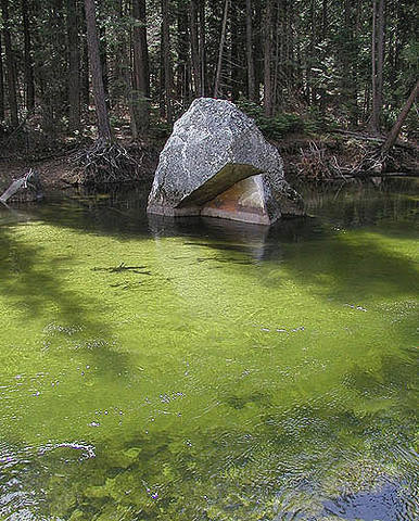 Merced River.<br>
Photo by Blitzo.