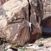 VegasTradGuy drops his rack and entertains some friends at the Kraft boulders. Starting out on Pipe Cleaner V2 (R).