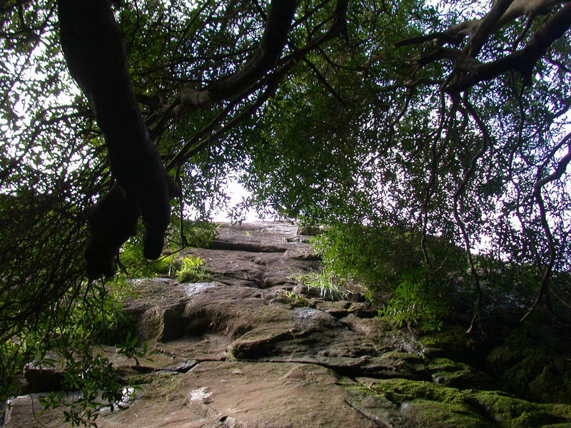 The south face as seen from the base of the climb.