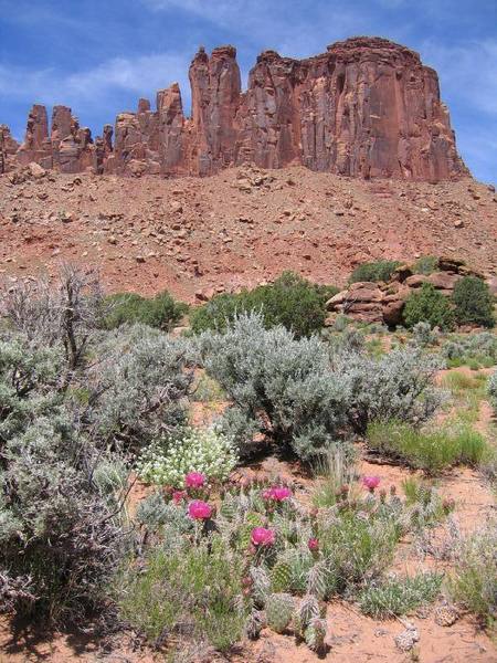 Bridger Jacks Buttress 