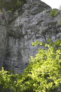 Climber taking a fall from the crux of Rainy Day Women, 5.12a.