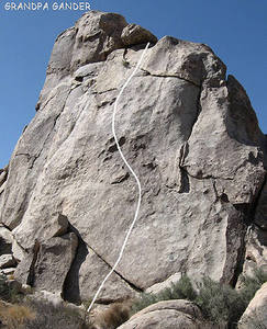 "Grandpa Gander".<br>
Photo by Blitzo.