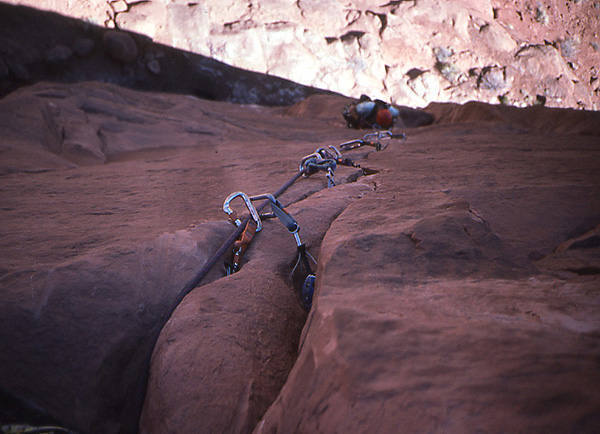 Dana Adler following pitch 1.<br>
Photo by Todd Gordon.