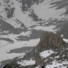 From the summit, looking down the NW Face. Upper Cascade Creek drainage and Triangle lake below.