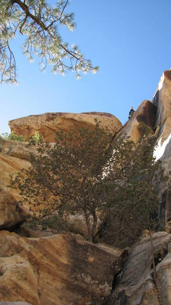 On top of "CU on Top". <br>
The entire route is pictured....behind the tree!