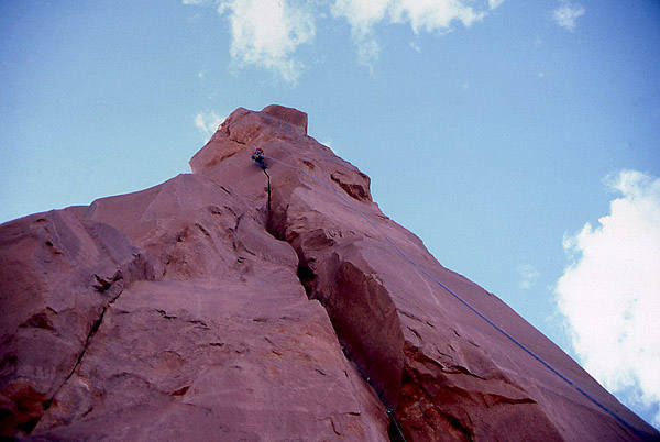 Dave Evans in action, on the Pole.<br>
Photo by Todd Gordon.