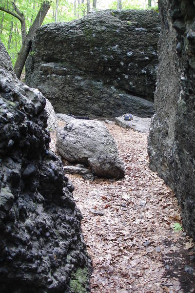 Entering the Alcove, Hammond Pond.