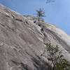 Beta photo showing the tree ledge at the top of P1 of Groover.