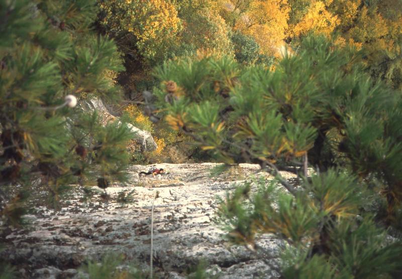 Michelle Moffat follows 'Double Issima' (10b) as a long single pitch. Photo by Tony Bubb, belaying in the tree branches overhanging the climb. 10/03.