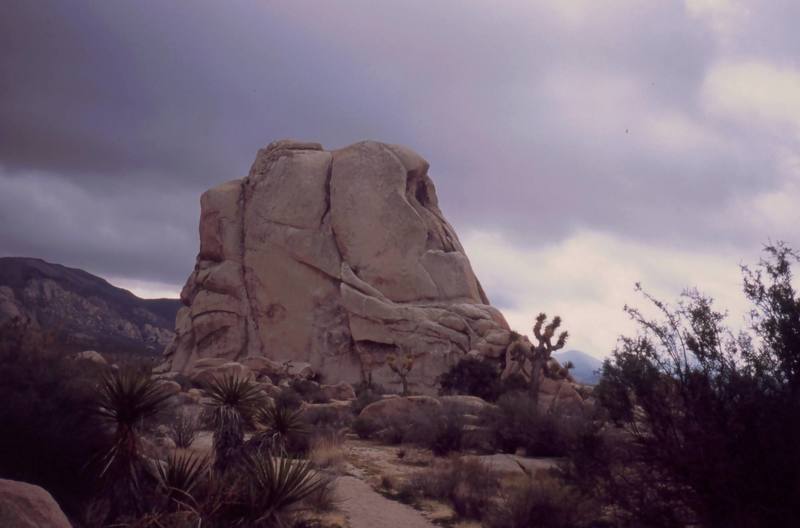 From the right angle, the North end of Intersection Rock strongly resembles the skull of a gorilla or perhaps some primitive hominid. The gathering storm and wind somehow added to this effect. Photo by Tony Bubb 1/04.