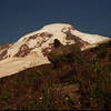 The west side of Mt. Baker with a fuzzy little friend