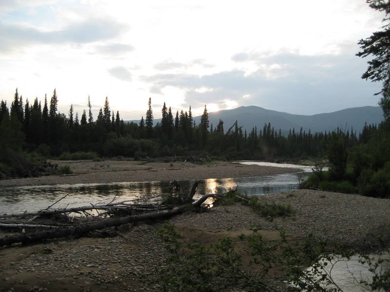 Angel Creek trail along the banks of the North Fork of the Chena River, Fairbanks Environs; 11:30 PM~