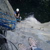 Jugging high up on the Nose.  Can't remember what pitch this was, maybe the top of Pancake Flake?