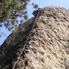 Me on the left side of the arete near the top.