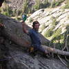 No it's not Slim Pickens from Dr. Strangelove, but Dan Hickstein riding the Vertigo Rappel tree before the trundle.<br>
Photo by Steve Levin