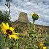 Tower from the campground.